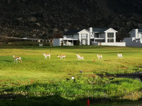 ceres-golf-club-home-gallery-04 (1) (1)